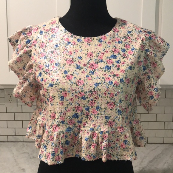 Zara Tops - Zara Sequin Cropped Top Womens Small Cottagecore Barbiecore Ruffled Floral Boho